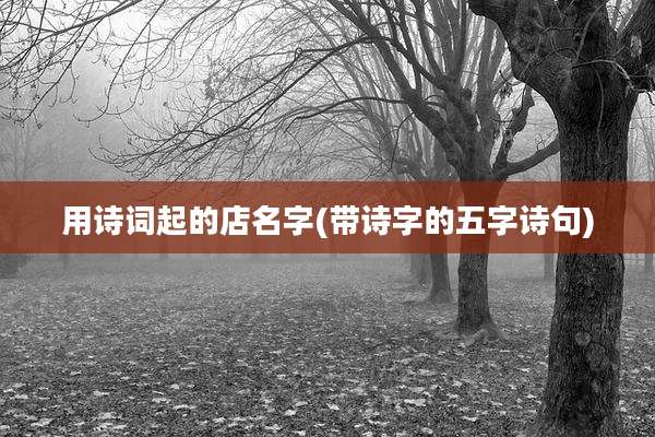 用诗词起的店名字(带诗字的五字诗句)