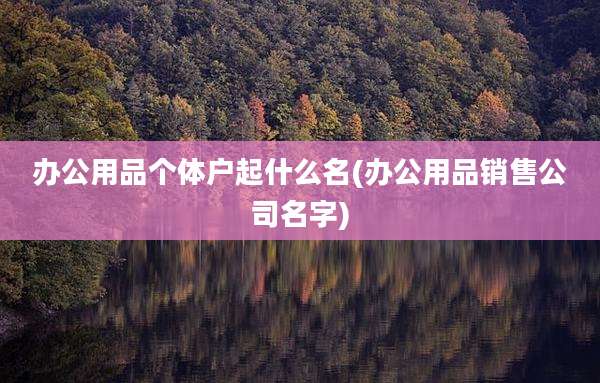 办公用品个体户起什么名(办公用品销售公司名字)