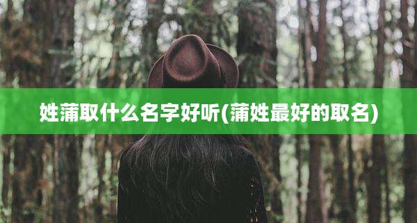 姓蒲取什么名字好听(蒲姓最好的取名)