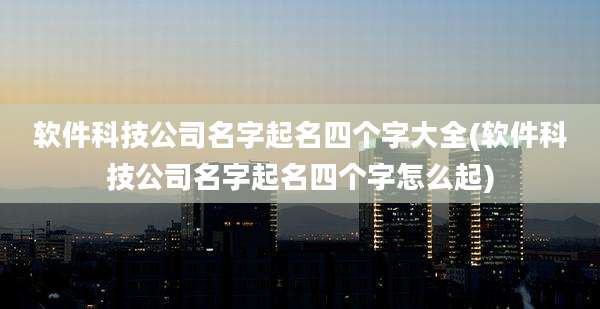 软件科技公司名字起名四个字大全(软件科技公司名字起名四个字怎么起)
