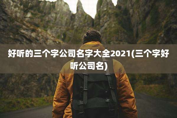 好听的三个字公司名字大全2021(三个字好听公司名)