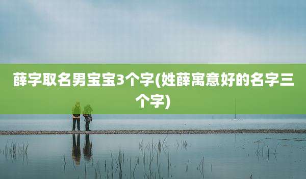 薛字取名男宝宝3个字(姓薛寓意好的名字三个字)