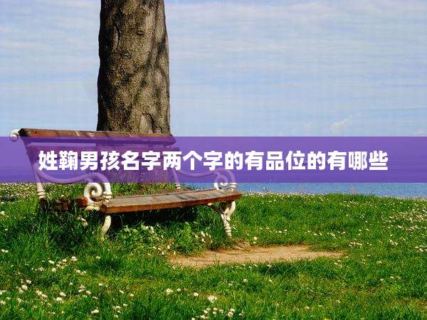 姓鞠男孩名字两个字的有品位的有哪些
