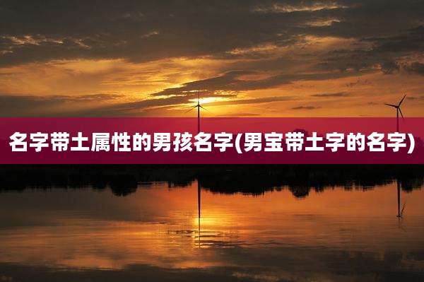 名字带土属性的男孩名字(男宝带土字的名字)