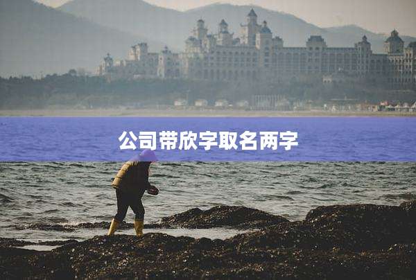 公司带欣字取名两字