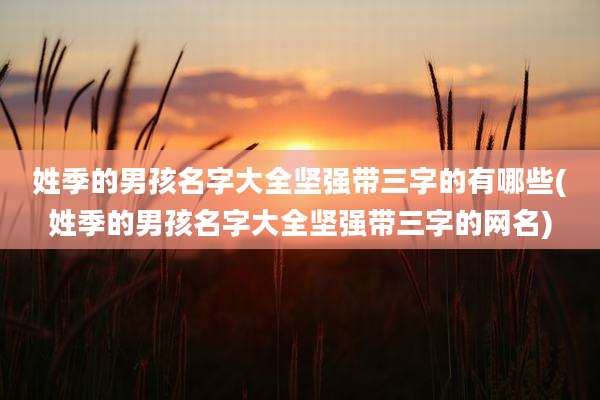 姓季的男孩名字大全坚强带三字的有哪些(姓季的男孩名字大全坚强带三字的网名)