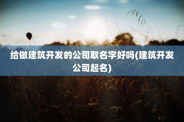 给做建筑开发的公司取名字好吗(建筑开发公司起名)