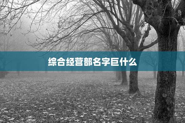 综合经营部名字巨什么