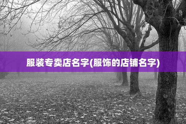 服装专卖店名字(服饰的店铺名字)
