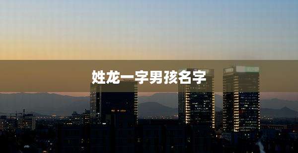 姓龙一字男孩名字