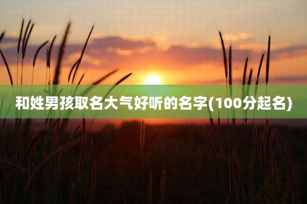 和姓男孩取名大气好听的名字(100分起名)