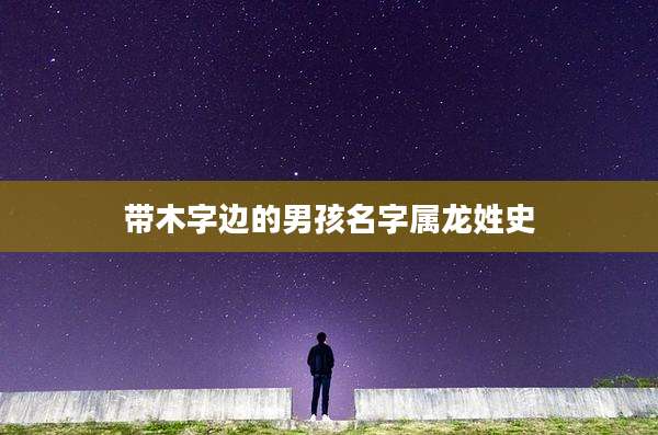 带木字边的男孩名字属龙姓史
