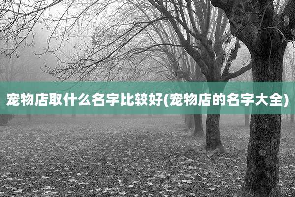 宠物店取什么名字比较好(宠物店的名字大全)
