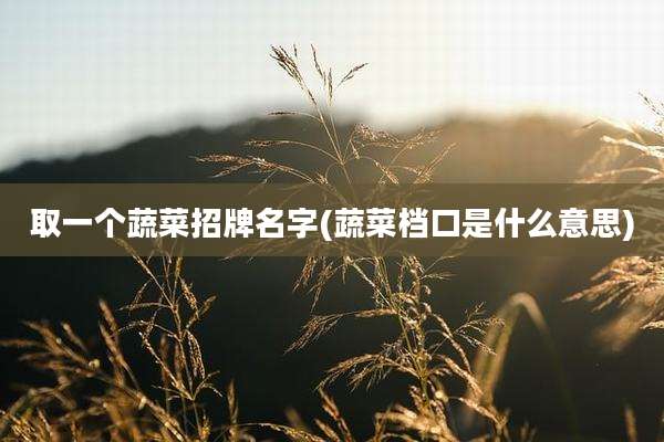 取一个蔬菜招牌名字(蔬菜档口是什么意思)