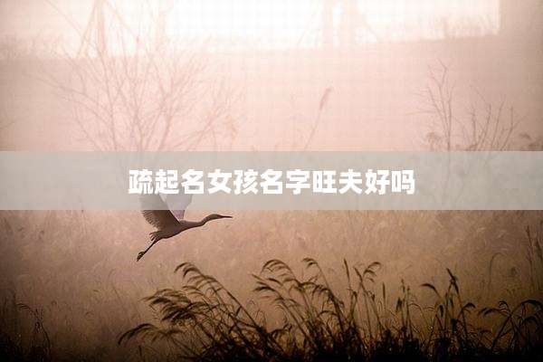 疏起名女孩名字旺夫好吗