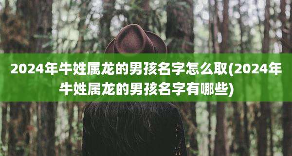 2024年牛姓属龙的男孩名字怎么取(2024年牛姓属龙的男孩名字有哪些)