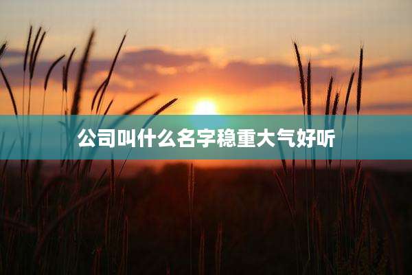 公司叫什么名字稳重大气好听