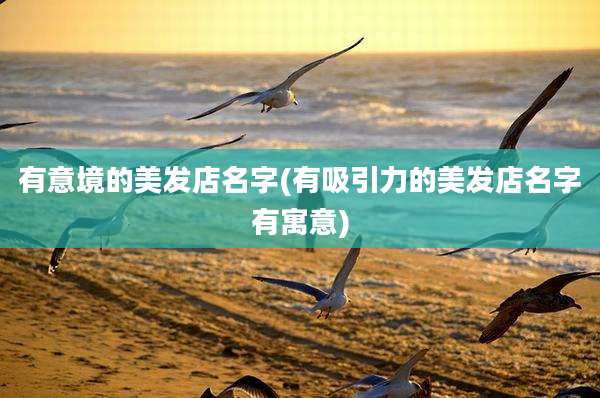 有意境的美发店名字(有吸引力的美发店名字有寓意)