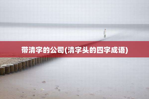 带清字的公司(清字头的四字成语)