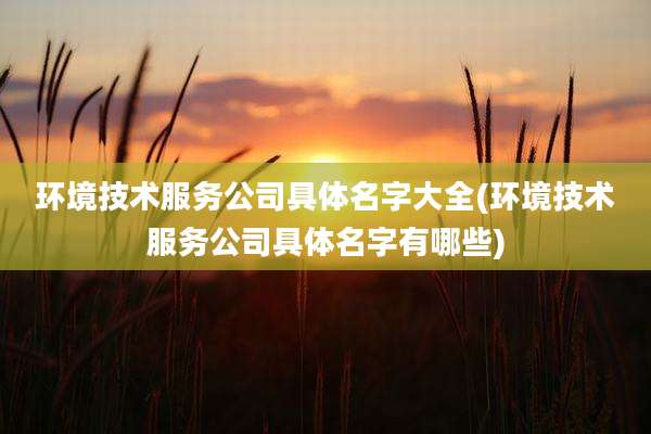 环境技术服务公司具体名字大全(环境技术服务公司具体名字有哪些)