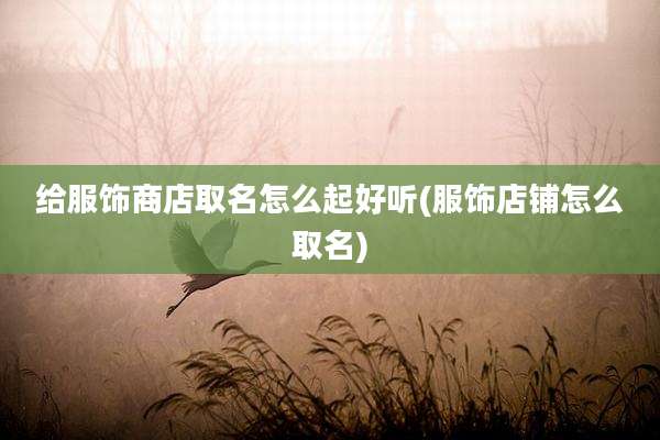 给服饰商店取名怎么起好听(服饰店铺怎么取名)