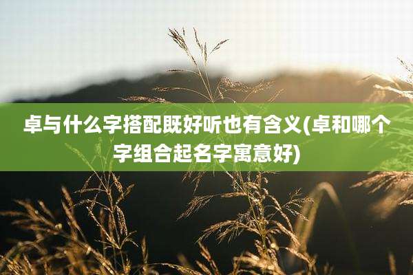 卓与什么字搭配既好听也有含义(卓和哪个字组合起名字寓意好)