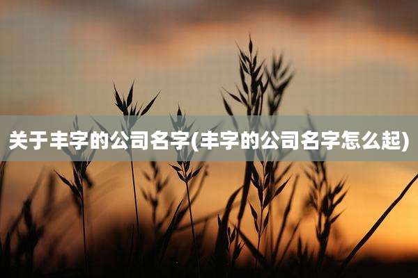 关于丰字的公司名字(丰字的公司名字怎么起)