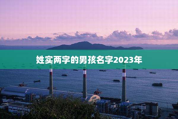 姓实两字的男孩名字2023年