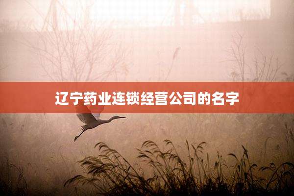 辽宁药业连锁经营公司的名字