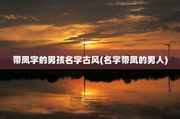 带凤字的男孩名字古风(名字带凤的男人)