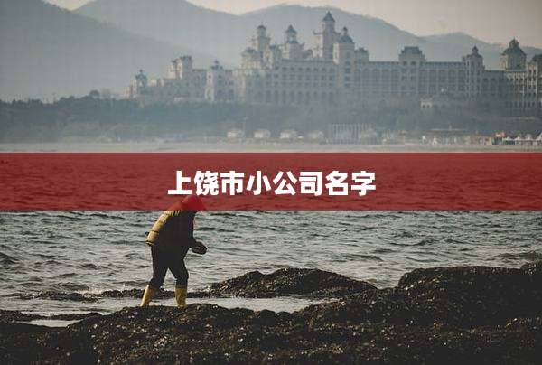 上饶市小公司名字