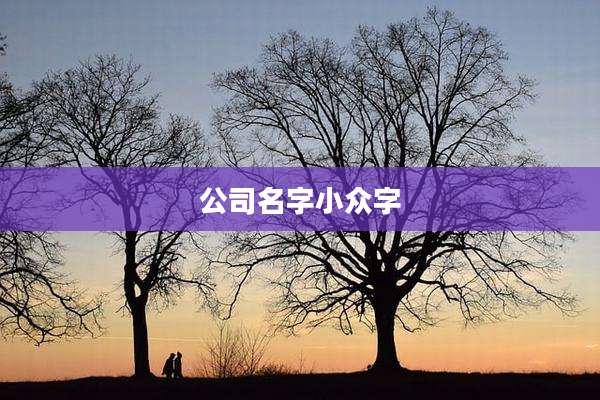 公司名字小众字