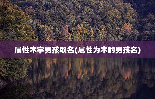 属性木字男孩取名(属性为木的男孩名)