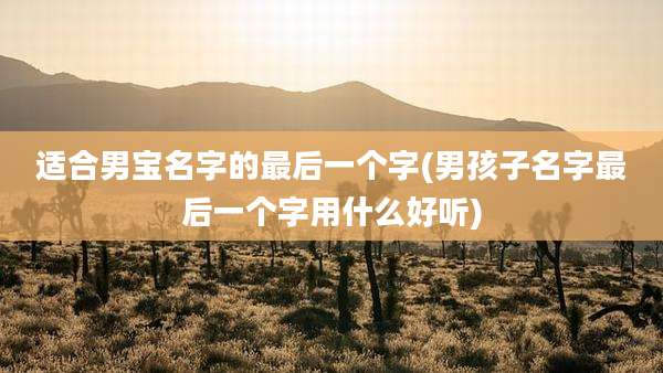 适合男宝名字的最后一个字(男孩子名字最后一个字用什么好听)