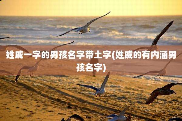 姓戚一字的男孩名字带土字(姓戚的有内涵男孩名字)