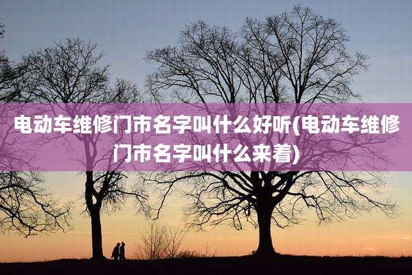 电动车维修门市名字叫什么好听(电动车维修门市名字叫什么来着)
