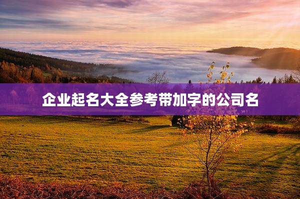 企业起名大全参考带加字的公司名
