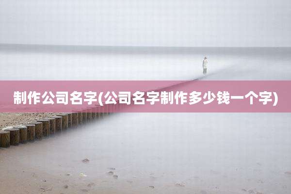 制作公司名字(公司名字制作多少钱一个字)