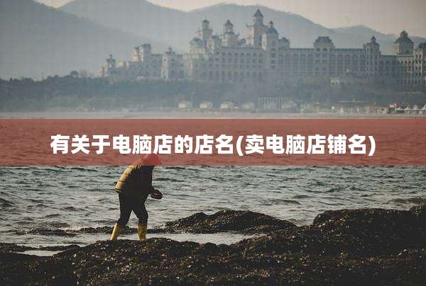 有关于电脑店的店名(卖电脑店铺名)