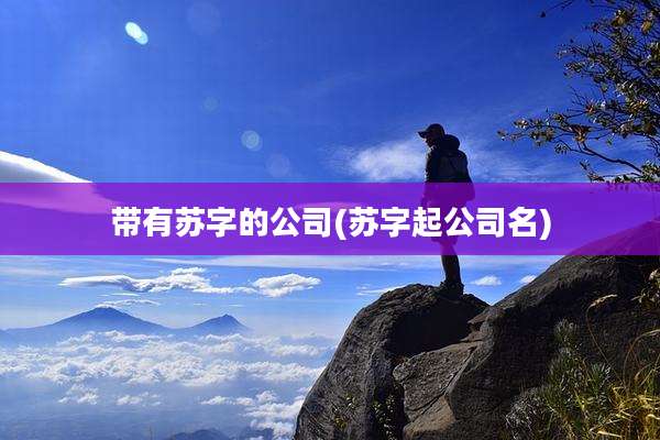 带有苏字的公司(苏字起公司名)