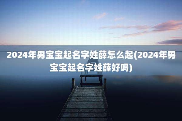 2024年男宝宝起名字姓薛怎么起(2024年男宝宝起名字姓薛好吗)