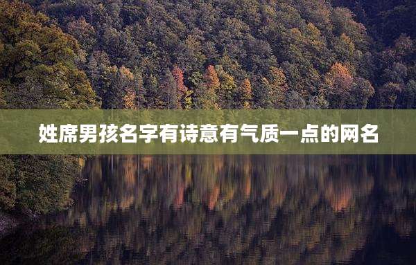 姓席男孩名字有诗意有气质一点的网名
