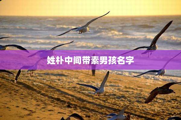 姓朴中间带素男孩名字