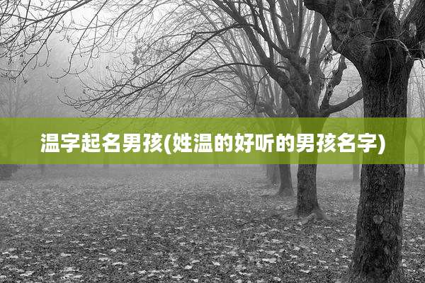 温字起名男孩(姓温的好听的男孩名字)