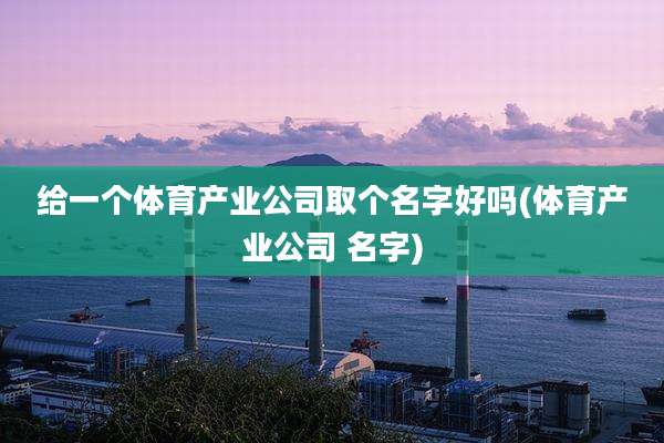 给一个体育产业公司取个名字好吗(体育产业公司 名字)
