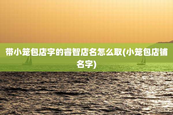 带小笼包店字的睿智店名怎么取(小笼包店铺名字)