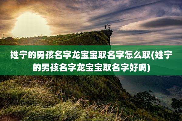 姓宁的男孩名字龙宝宝取名字怎么取(姓宁的男孩名字龙宝宝取名字好吗)
