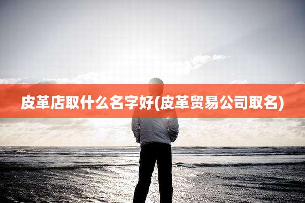 皮革店取什么名字好(皮革贸易公司取名)