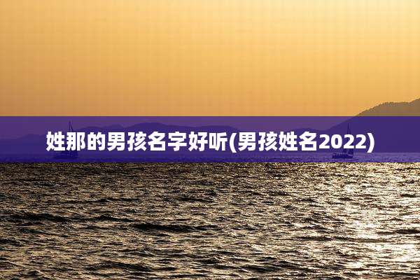 姓那的男孩名字好听(男孩姓名2022)