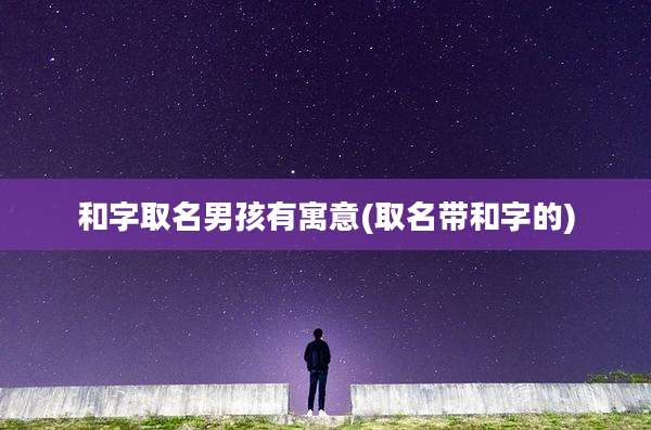 和字取名男孩有寓意(取名带和字的)
